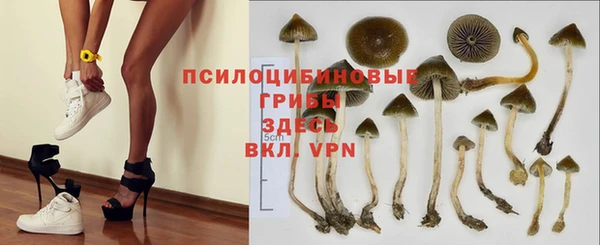 герыч Бугульма