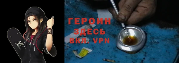 дживик Бородино