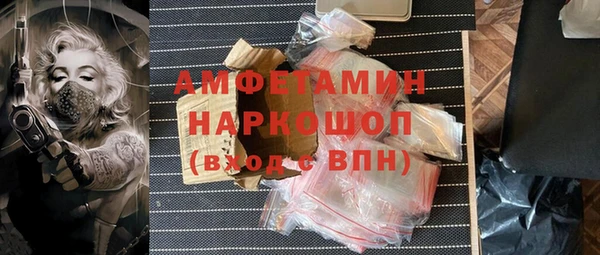 дживик Бородино