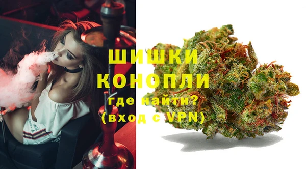 дживик Бородино