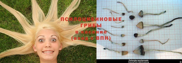 дживик Бородино