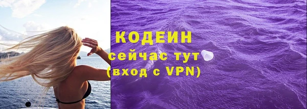 дживик Бородино