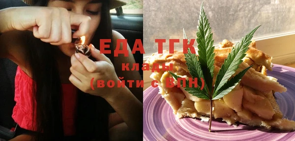дживик Бородино