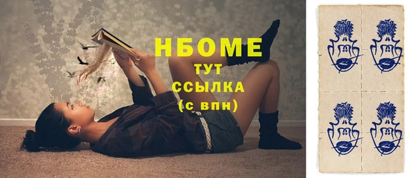 дживик Бородино