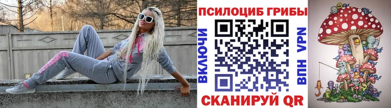 сколько стоит  Красногорск  Псилоцибиновые грибы ЛСД 